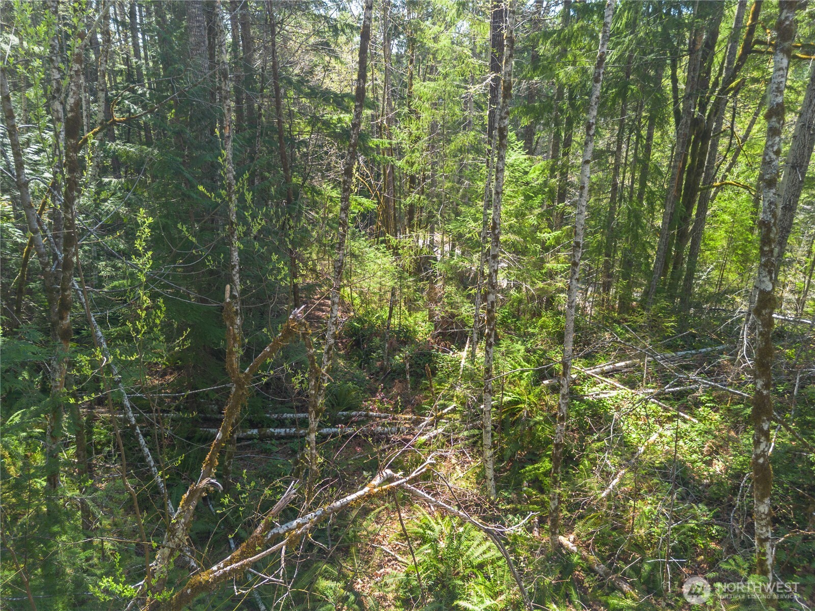 0 N Lake Cushman Road , Hoodsport, WA 98548