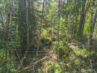 0 N Lake Cushman Road , Hoodsport, WA 98548 - Photo 9