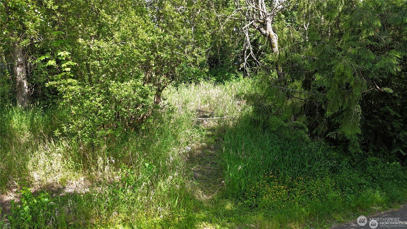 12015 58th Avenue E, Puyallup, WA 98373