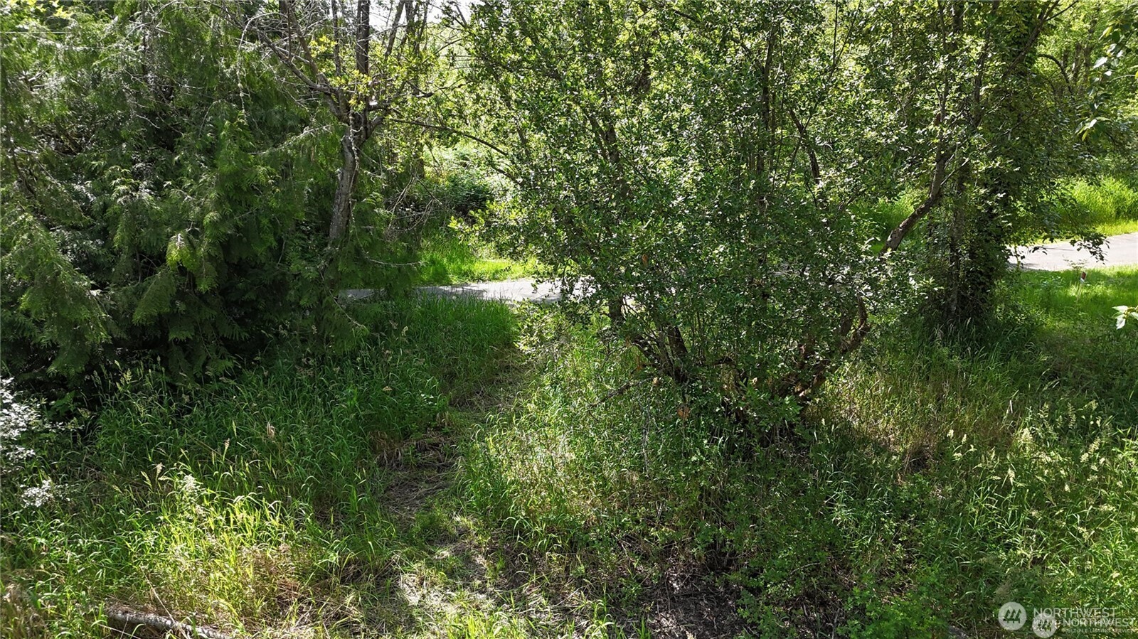 12015 58th Avenue E, Puyallup, WA 98373