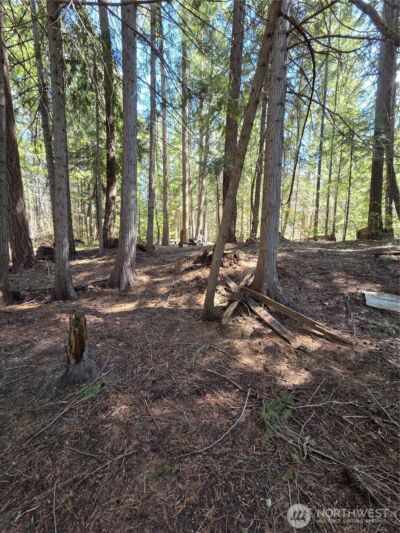 0 W Shugart Flats Rd , Leavenworth, WA 98826 - Photo 14