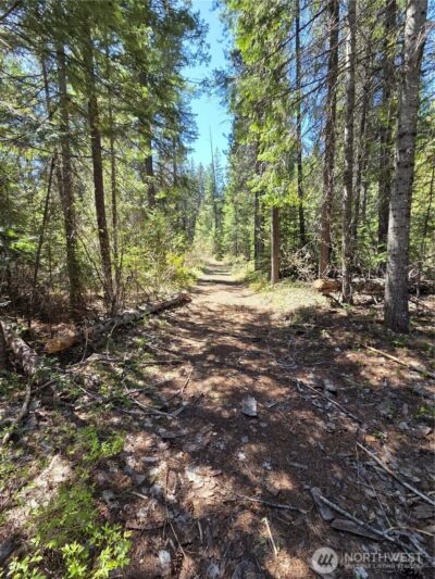 0 W Shugart Flats Rd , Leavenworth, WA 98826 - Photo 15