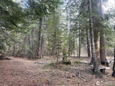 0 W Shugart Flats Rd , Leavenworth, WA 98826 - Photo 11
