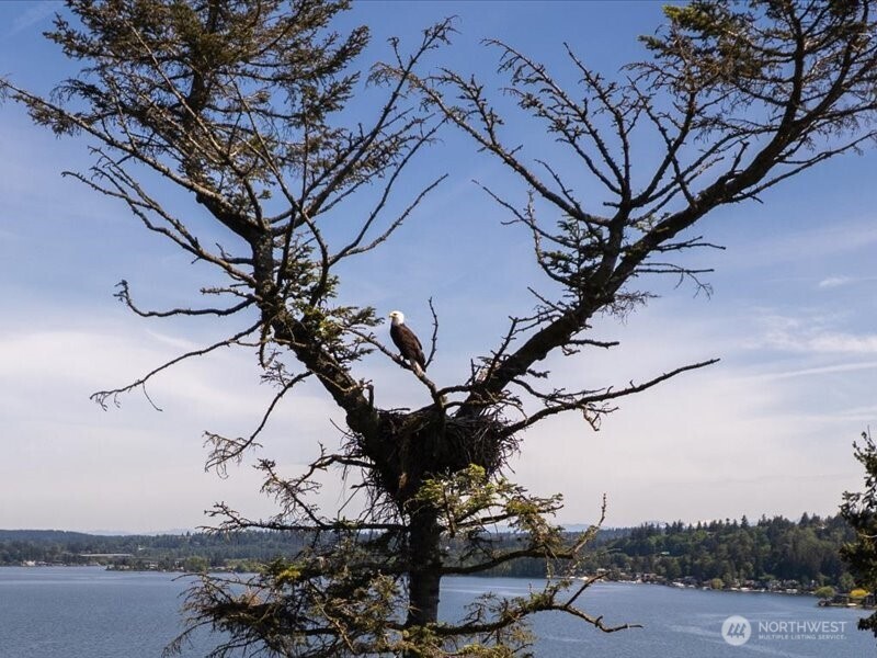 6418 E Mercer Way , Mercer Island, WA 98040