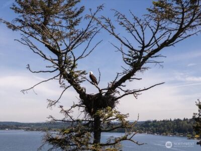 6418 E Mercer Way , Mercer Island, WA 98040 - Photo 39