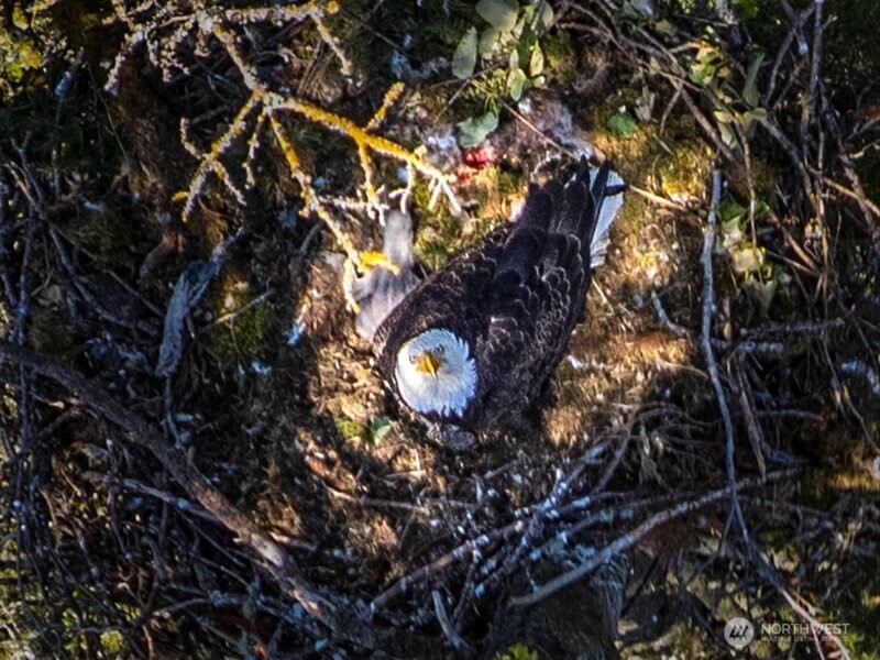 6418 E Mercer Way , Mercer Island, WA 98040