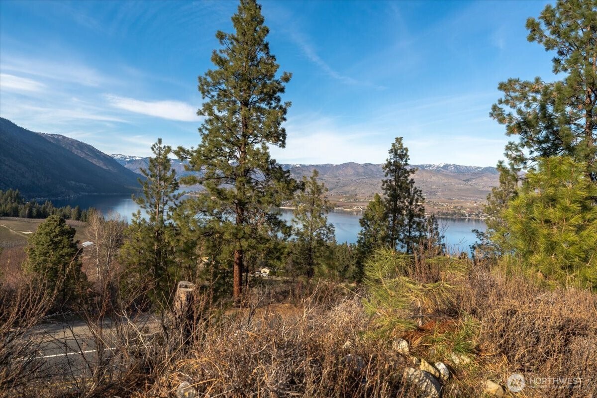 990 Upper Ridge Road , Chelan, WA 98816