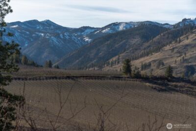 990 Upper Ridge Road , Chelan, WA 98816 - Photo 37