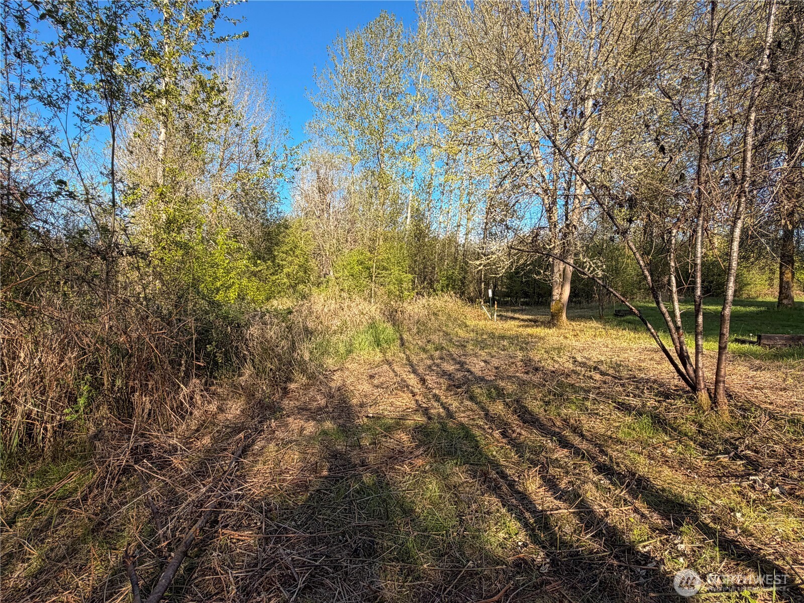 402 A Street , Vader, WA 98593