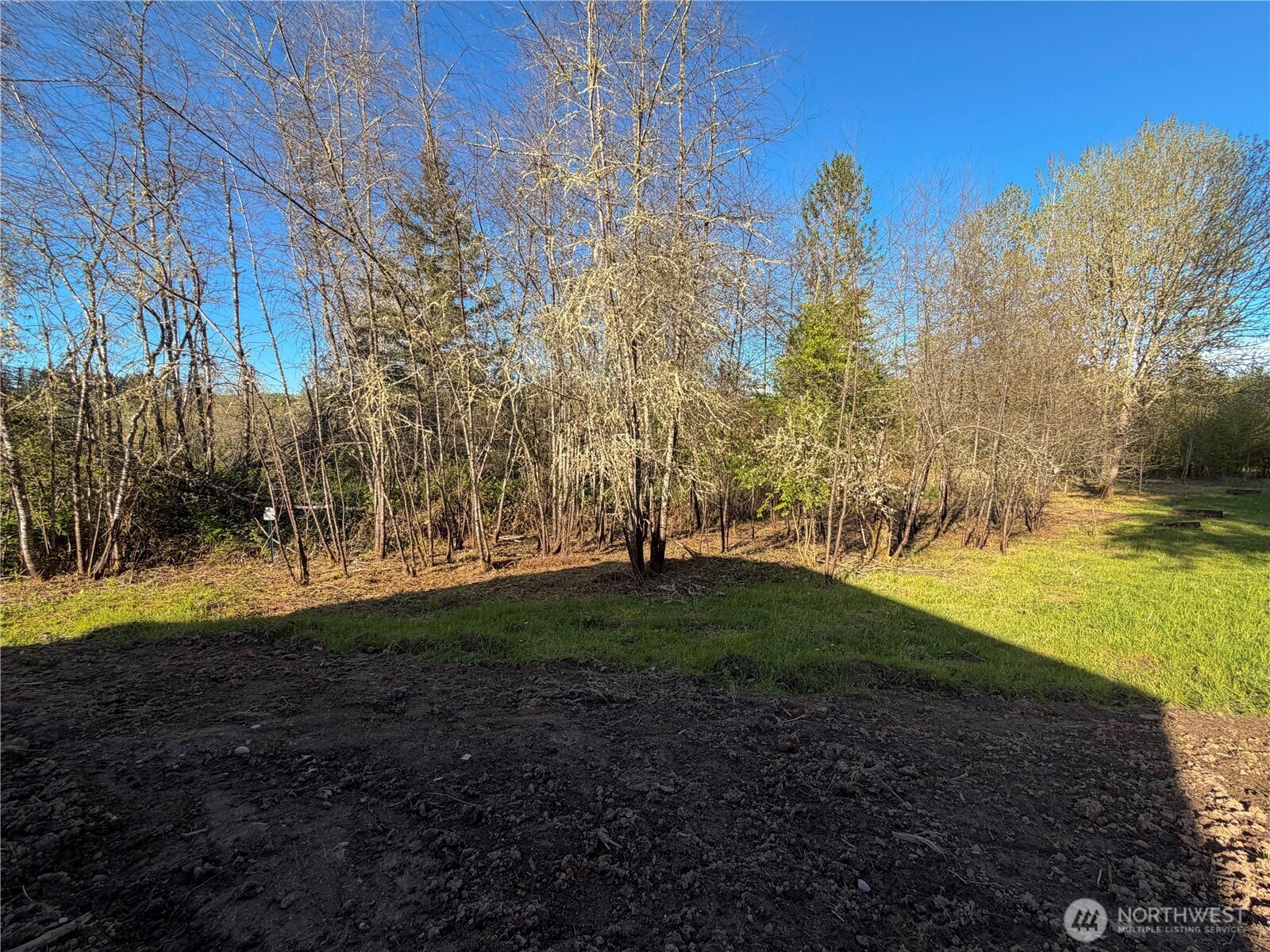 402 A Street , Vader, WA 98593