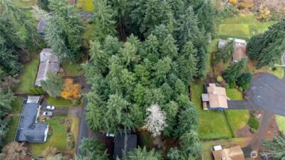 6943 20th Avenue E, Lacey, WA 98503 - Photo 17