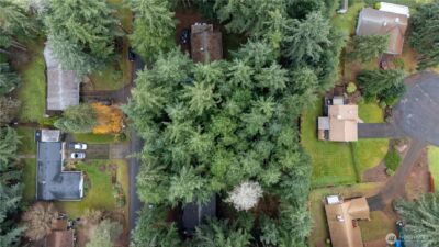 6943 20th Avenue E, Lacey, WA 98503 - Photo 18