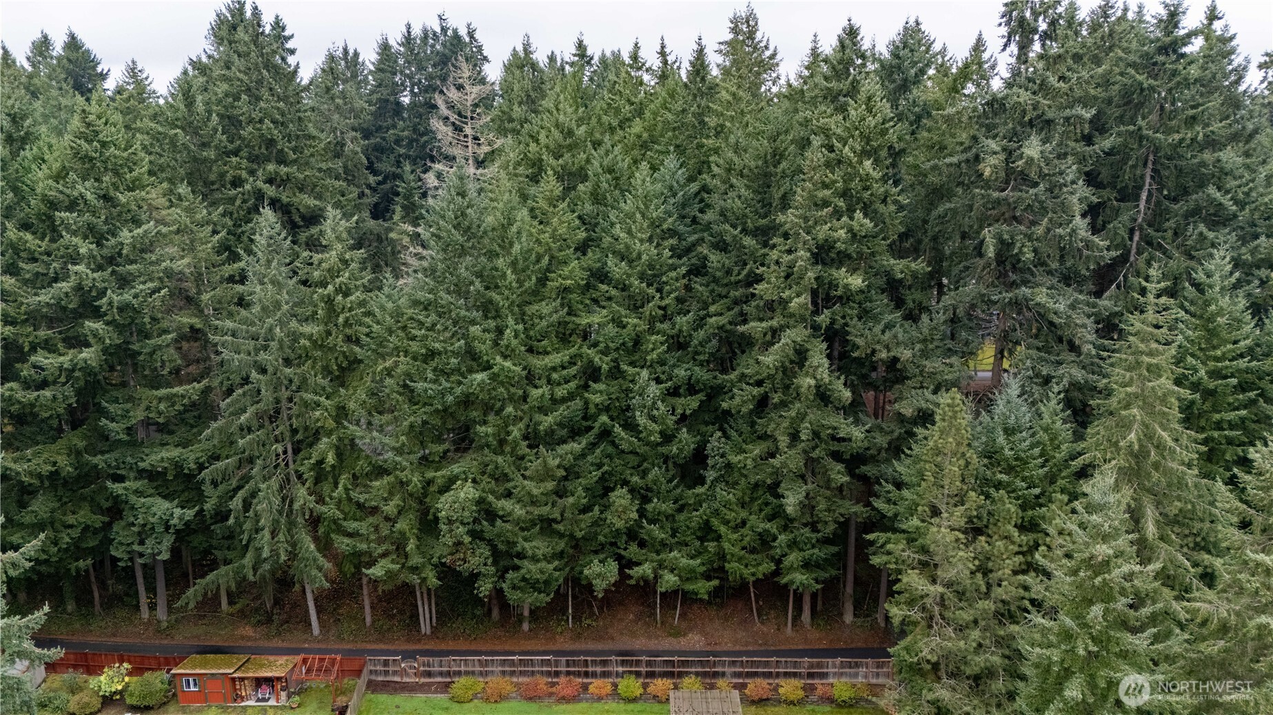 6943 20th Avenue E, Lacey, WA 98503