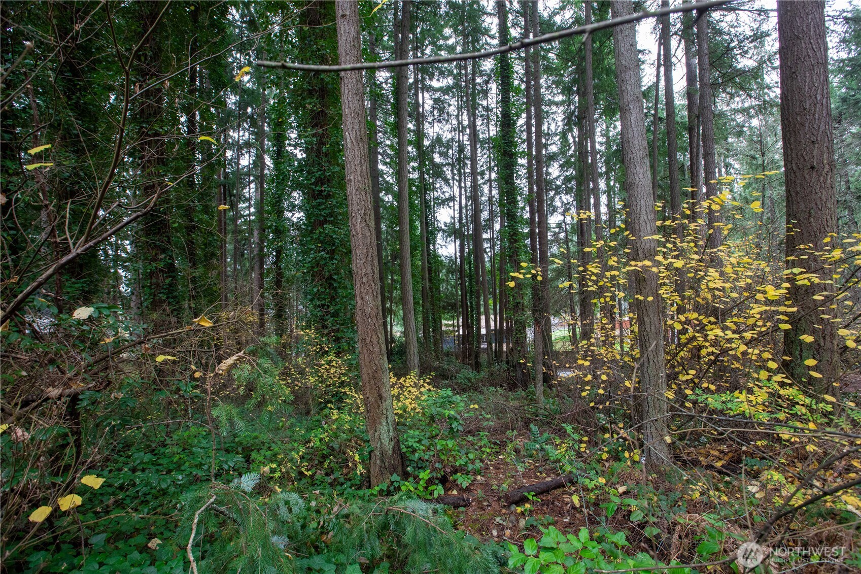 6943 20th Avenue E, Lacey, WA 98503
