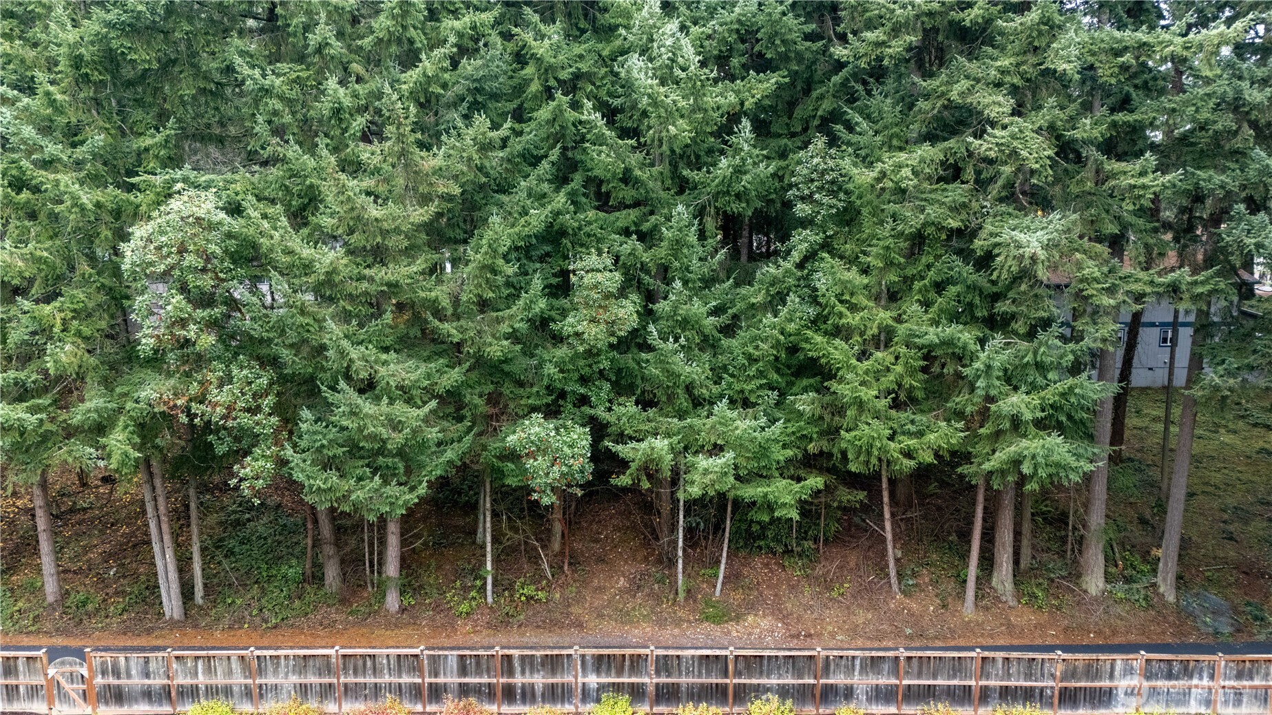 6943 20th Avenue E, Lacey, WA 98503