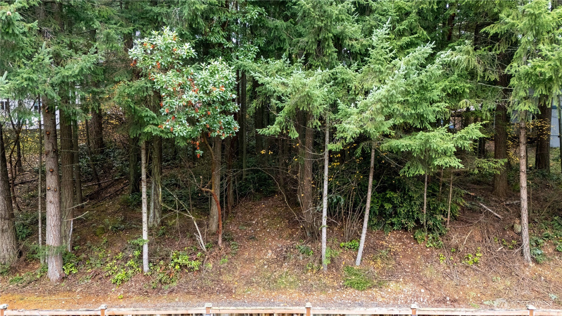 6943 20th Avenue E, Lacey, WA 98503