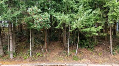 6943 20th Avenue E, Lacey, WA 98503 - Photo 22