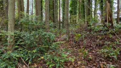 6943 20th Avenue E, Lacey, WA 98503 - Photo 24