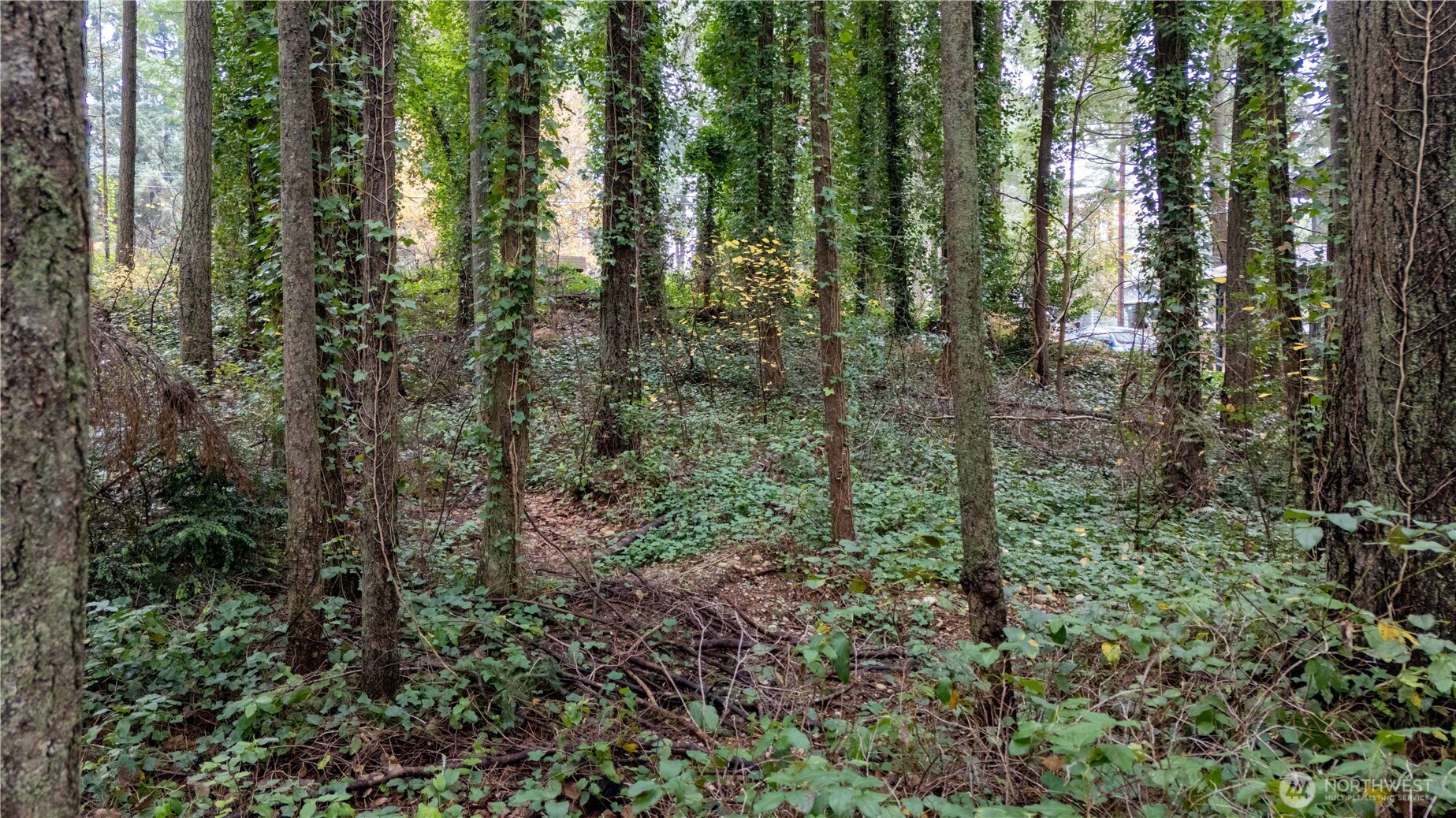 6943 20th Avenue E, Lacey, WA 98503