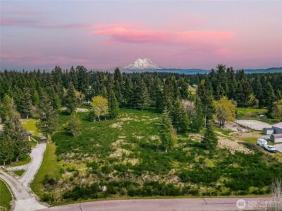 14543 Lindsay Loop SE, Yelm, WA 98597 - Photo 11