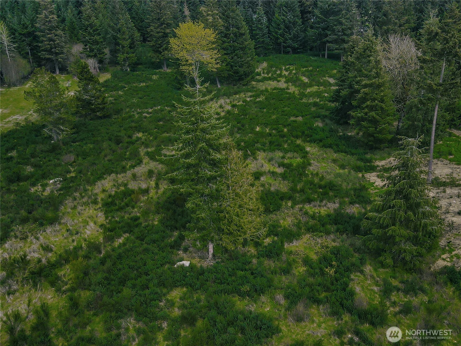 14543 Lindsay Loop SE, Yelm, WA 98597