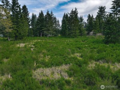 14543 Lindsay Loop SE, Yelm, WA 98597 - Photo 7