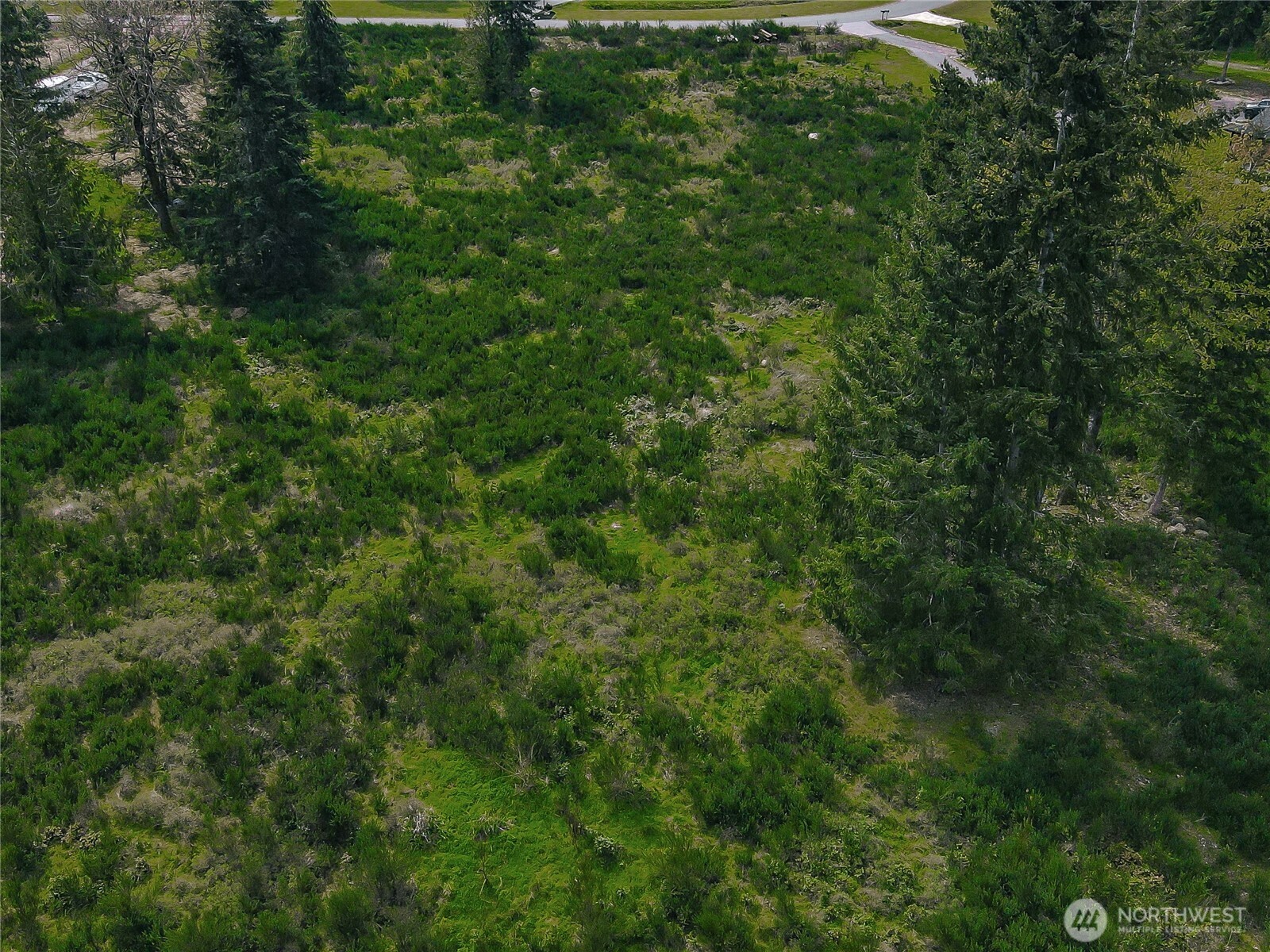 14543 Lindsay Loop SE, Yelm, WA 98597