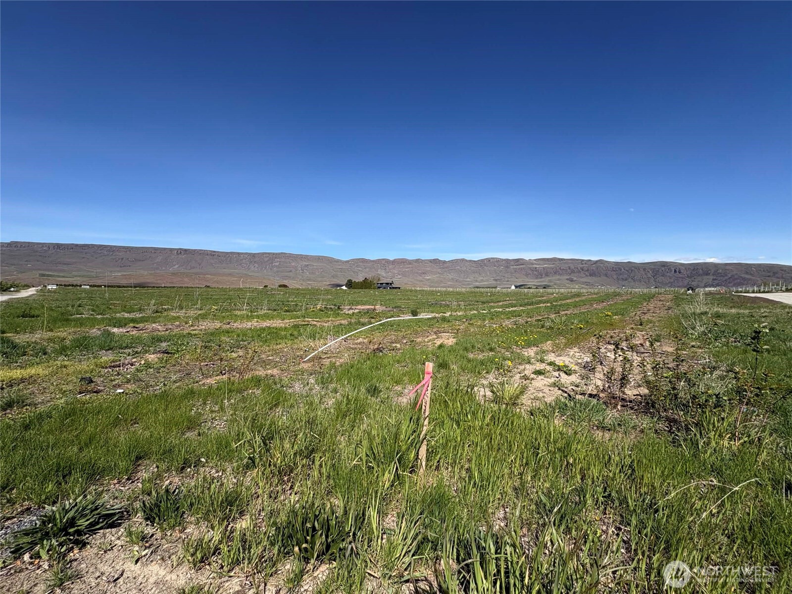 0 XX S Ward Avenue , East Wenatchee, WA 98802