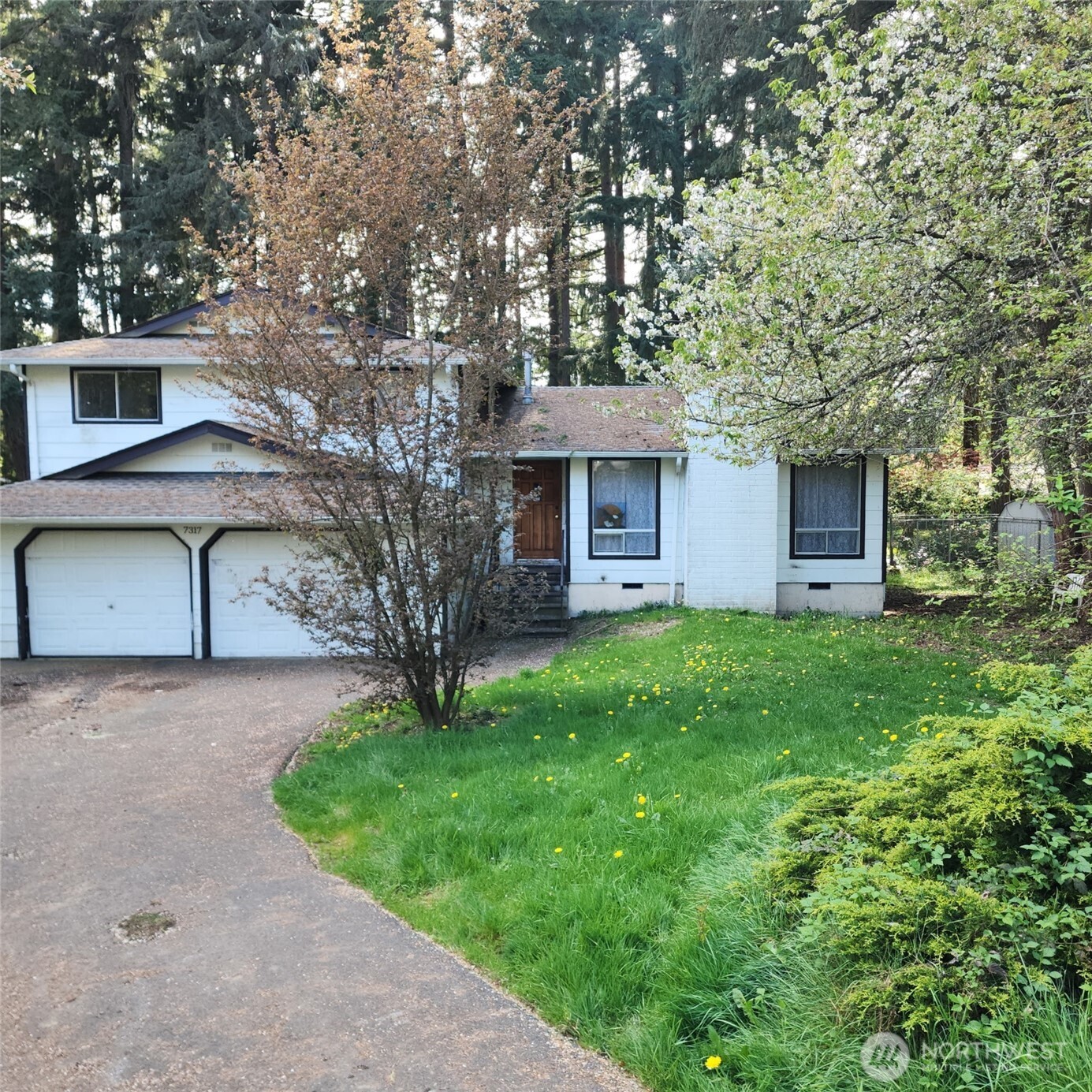 7317 12th Court SE, Lacey, WA 98503