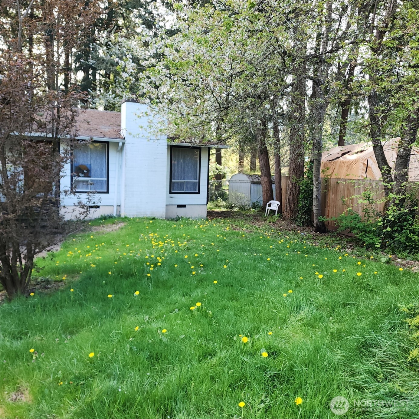 7317 12th Court SE, Lacey, WA 98503