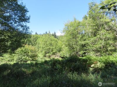 0 Salmon Creek Road , Mossyrock, WA 98564