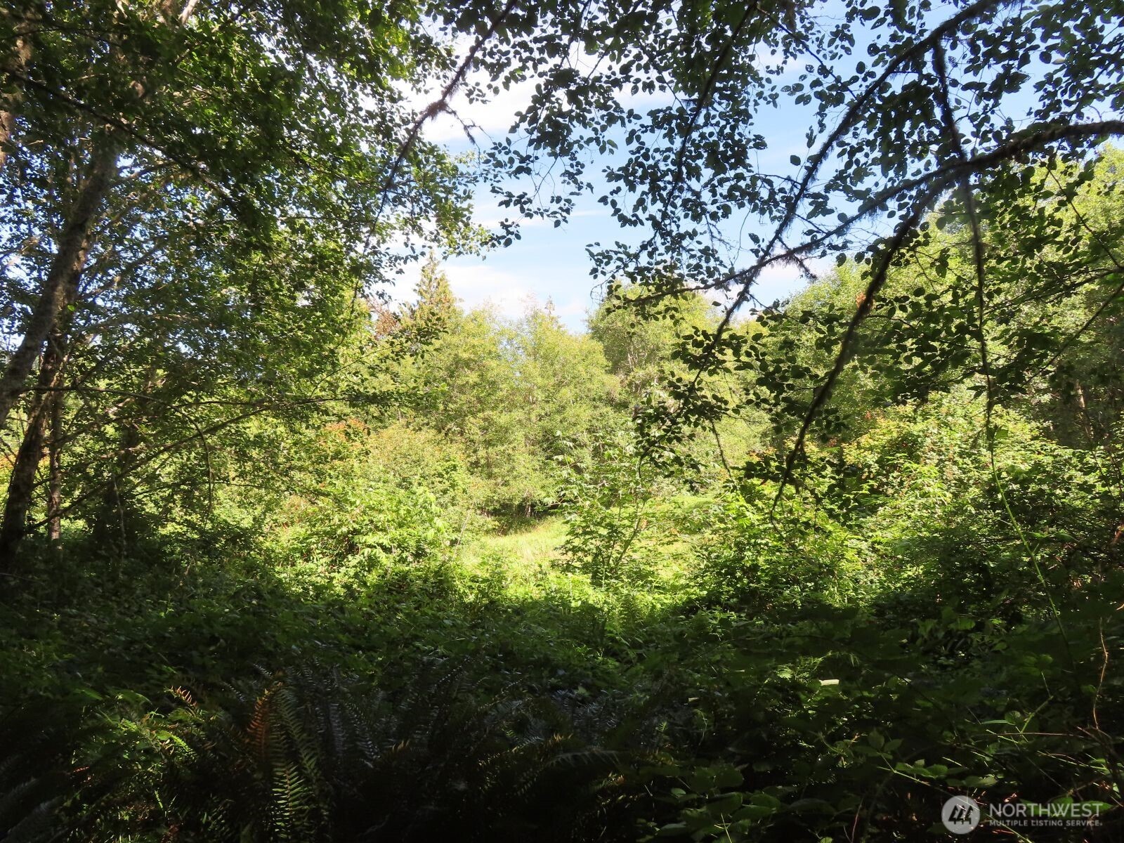 0 Salmon Creek Road , Mossyrock, WA 98564