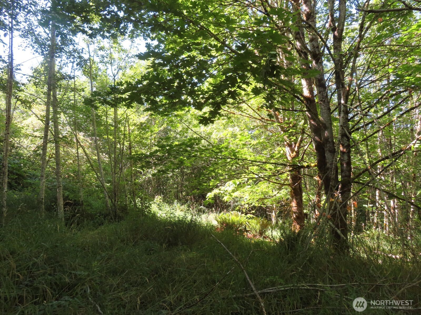 0 Salmon Creek Road , Mossyrock, WA 98564