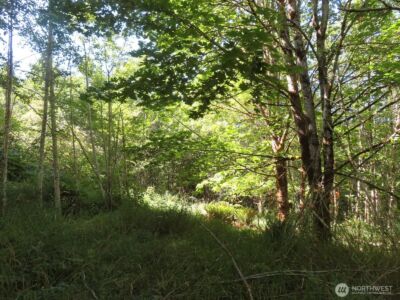 0 Salmon Creek Road , Mossyrock, WA 98564 - Photo 11
