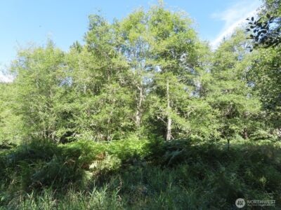 0 Salmon Creek Road , Mossyrock, WA 98564 - Photo 12
