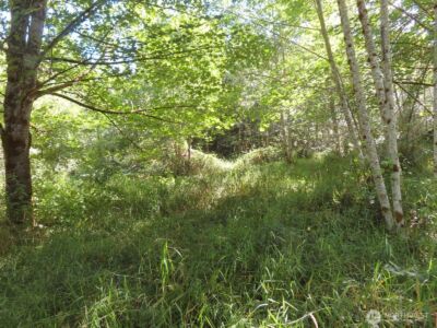 0 Salmon Creek Road , Mossyrock, WA 98564 - Photo 13