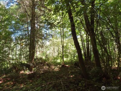0 Salmon Creek Road , Mossyrock, WA 98564 - Photo 17