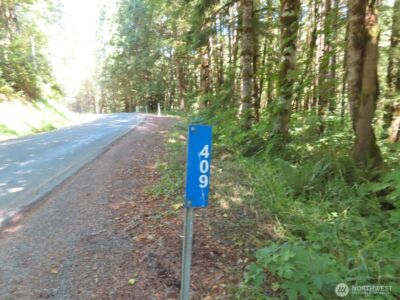 0 Salmon Creek Road , Mossyrock, WA 98564 - Photo 20