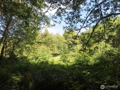 0 Salmon Creek Road , Mossyrock, WA 98564 - Photo 2