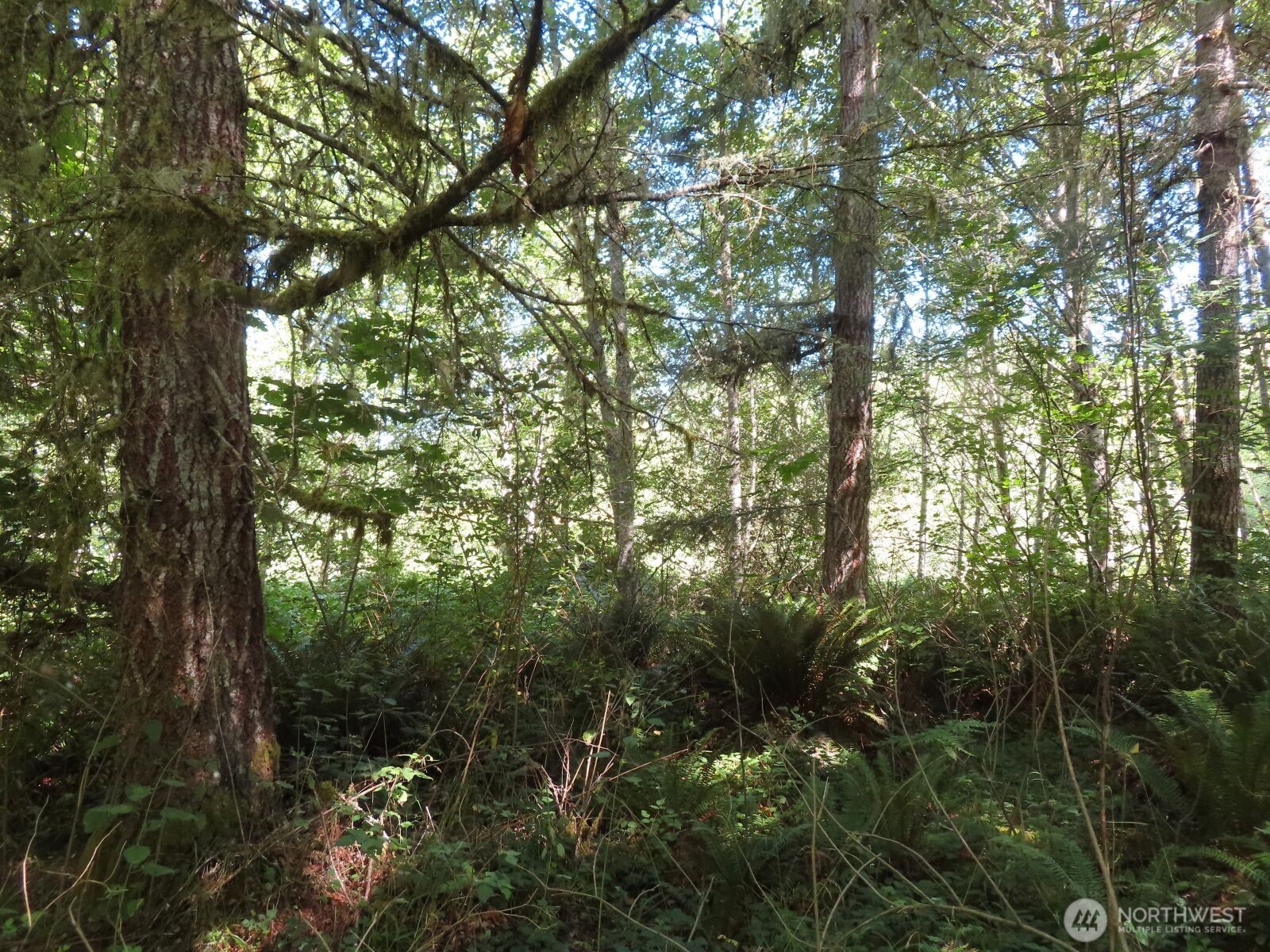 0 Salmon Creek Road , Mossyrock, WA 98564