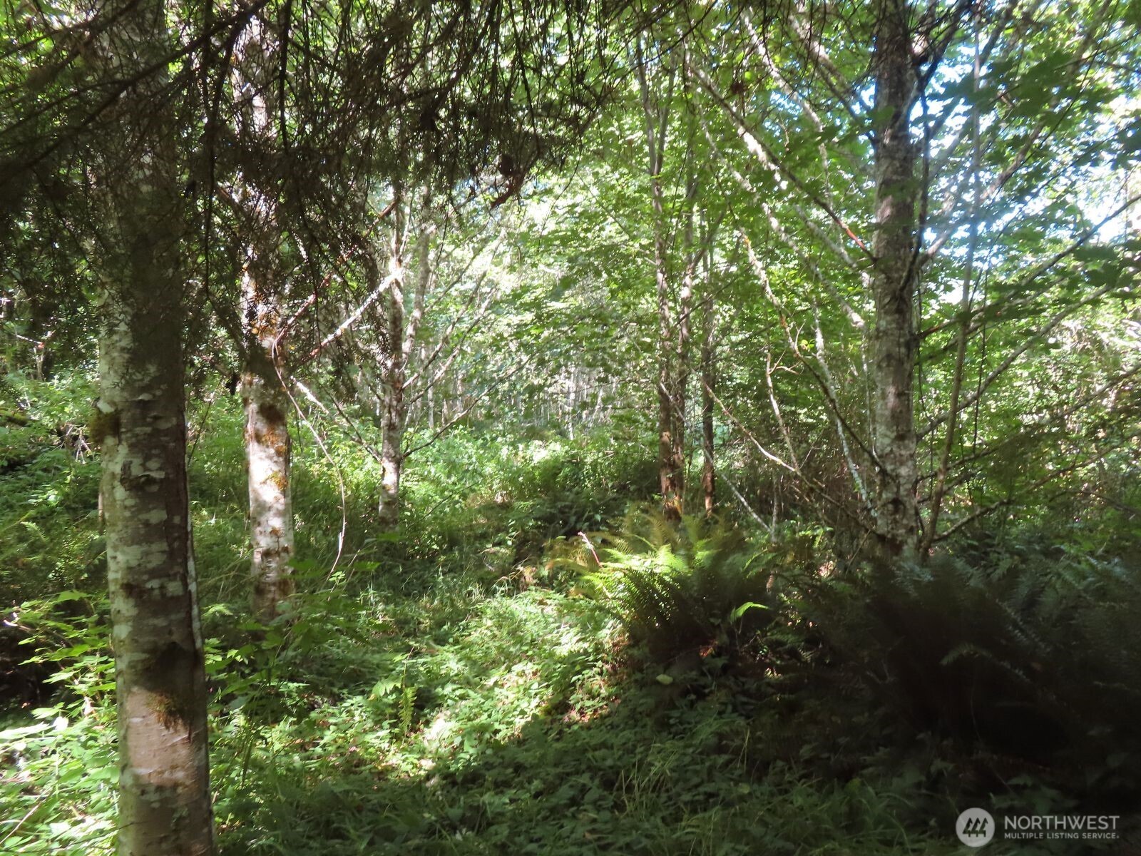 0 Salmon Creek Road , Mossyrock, WA 98564