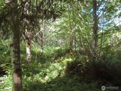 0 Salmon Creek Road , Mossyrock, WA 98564 - Photo 7