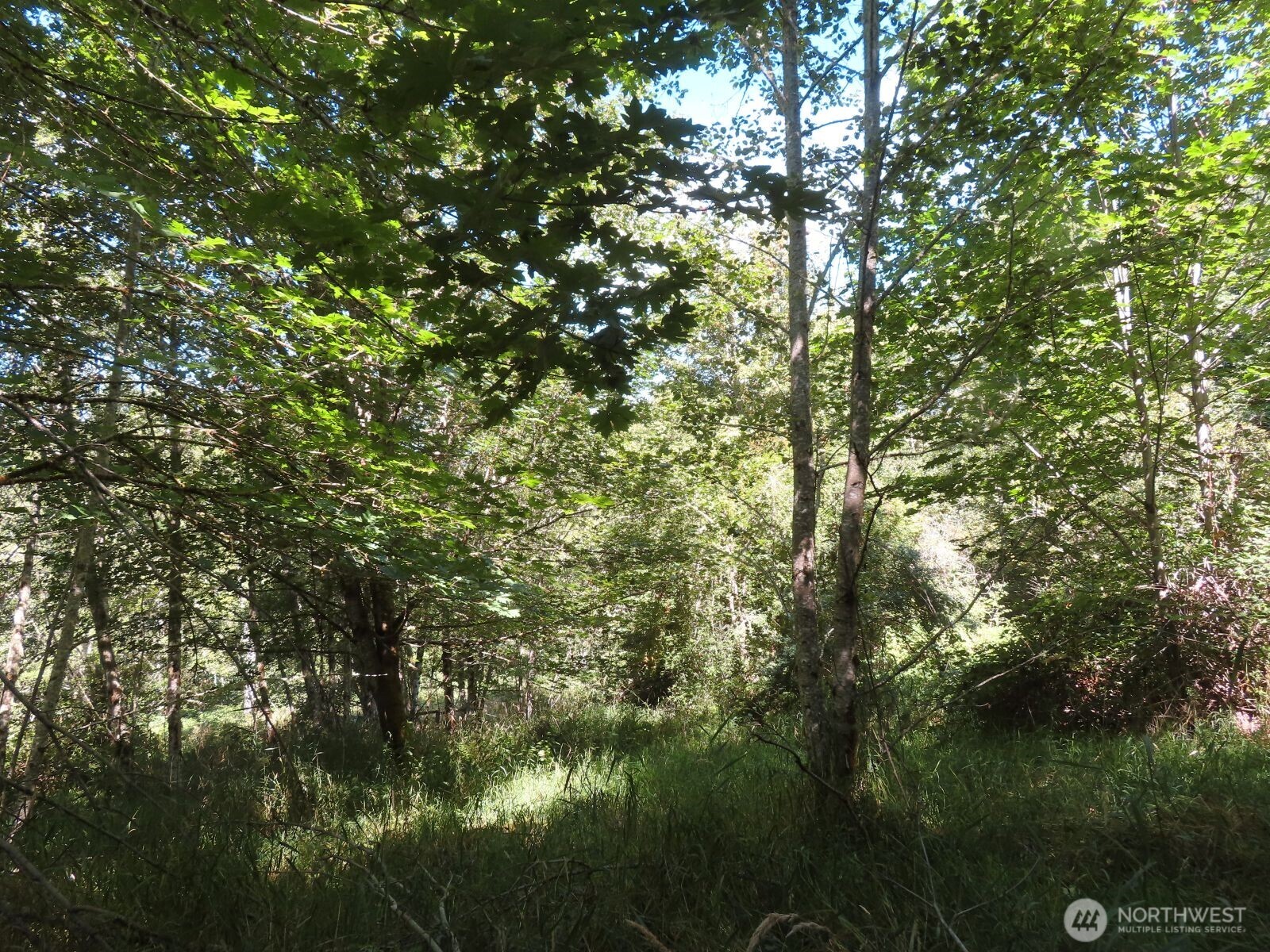 0 Salmon Creek Road , Mossyrock, WA 98564