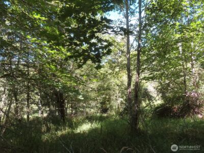 0 Salmon Creek Road , Mossyrock, WA 98564 - Photo 10