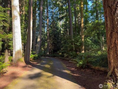 4079 Forest Lane , Anacortes, WA 98221 - Photo 34