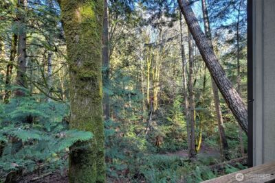 731 E Promontory Road , Shelton, WA 98584 - Photo 8