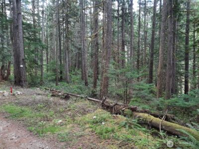 0 Cascade River Road , Concrete, WA 98267 - Photo 1