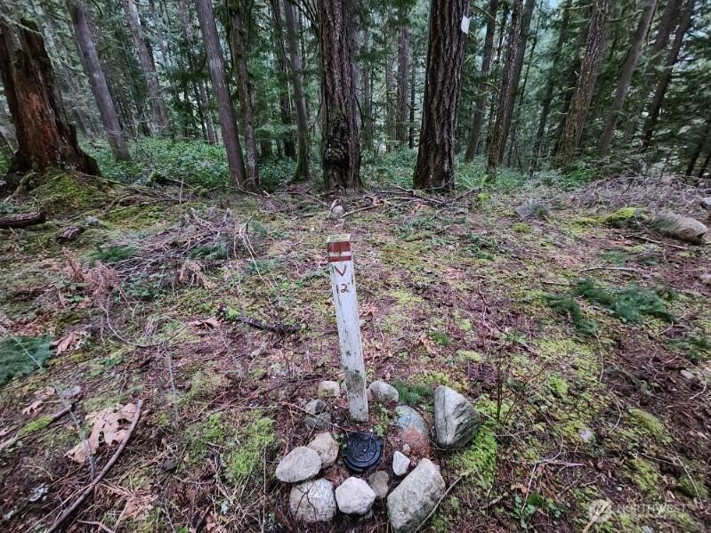 0 Cascade River Road , Concrete, WA 98267