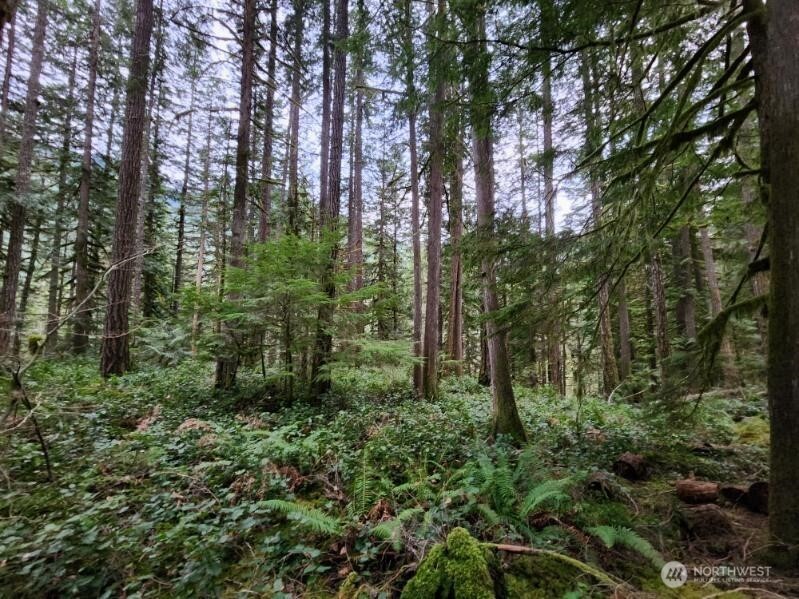 0 Cascade River Road , Concrete, WA 98267