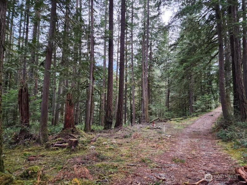0 Cascade River Road , Concrete, WA 98267